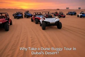 Dune Buggy Tour in Dubai’s Desert