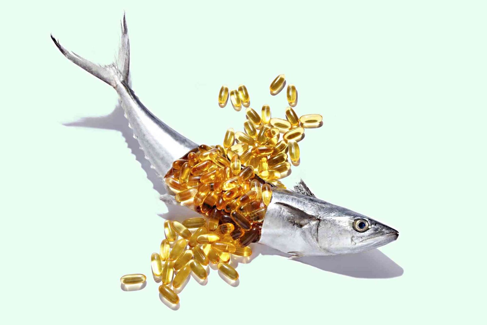 4 Benefits of Fish oil in our Daily Health’s